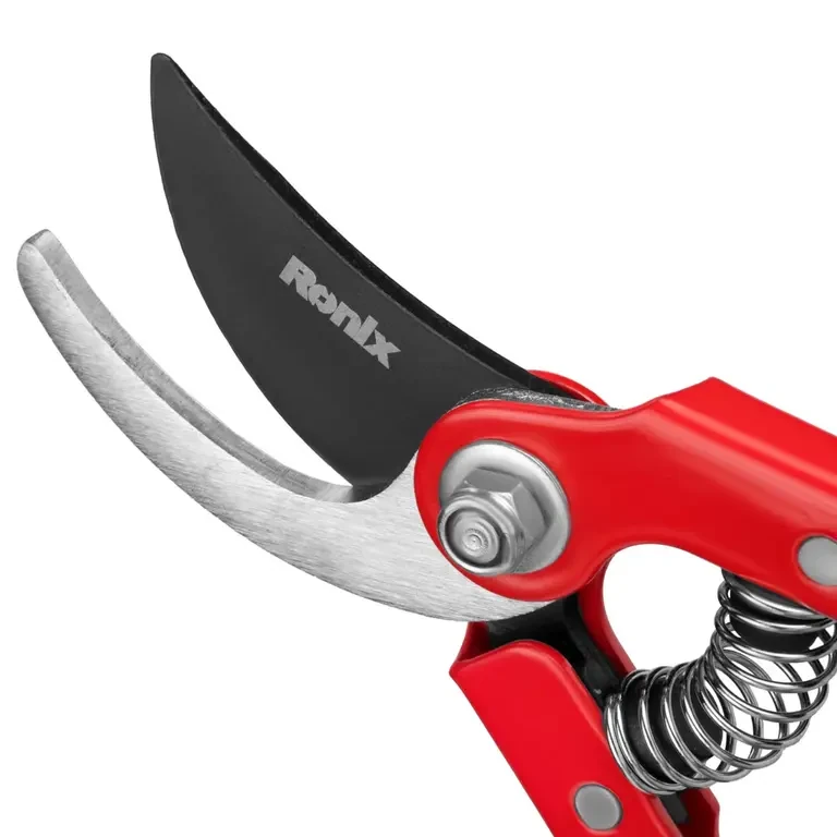 original-638328793718562969.webp